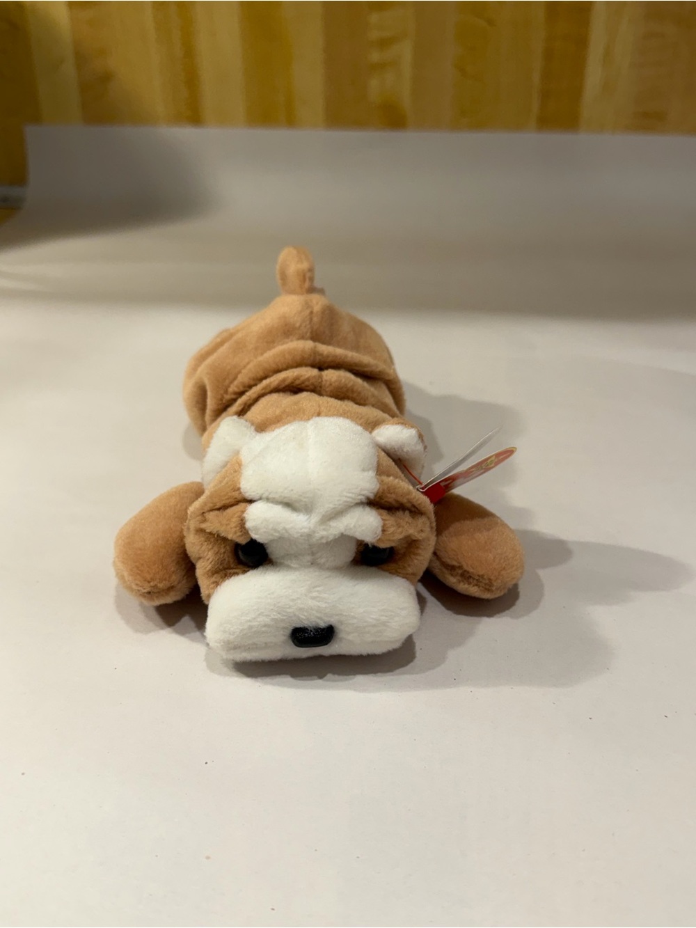 TY 1996 Wrinkles Beanie Baby Very Rare Retired with Errors